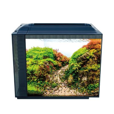 Anubias Nano Tank 55,5 x 29,5 x 44 Cm Siyah1998000192827