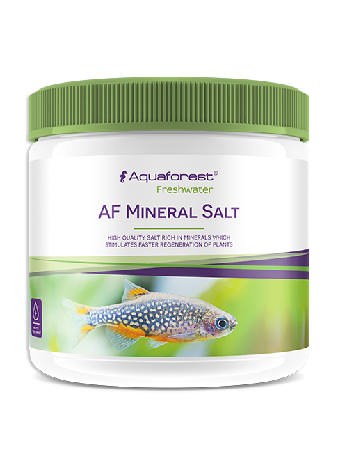 AQUAFOREST - MİNERAL SALT FRESH 500 ML5902026738491