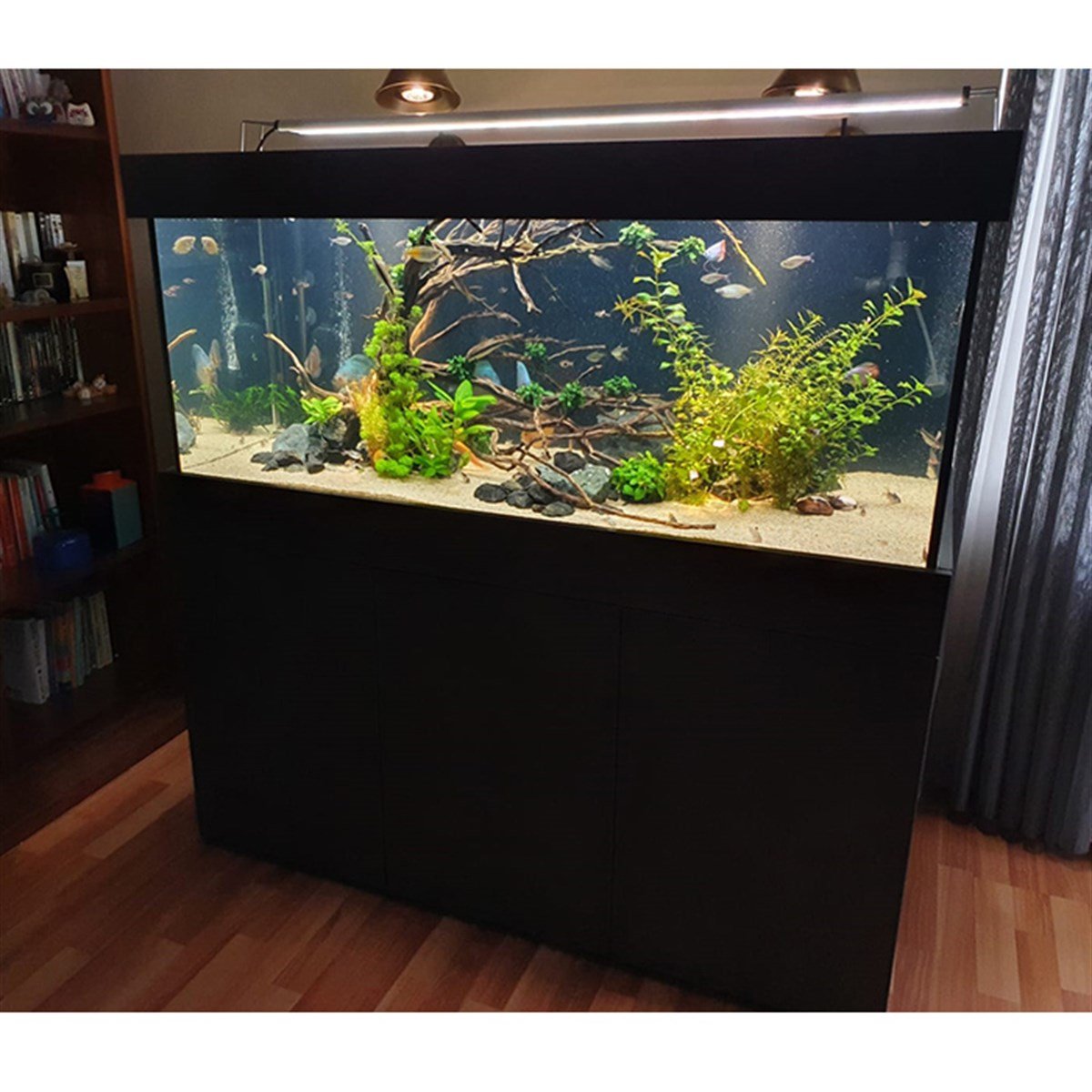 ATAKÖY KONAKLARI Bitkili AkvaryumTasarım2