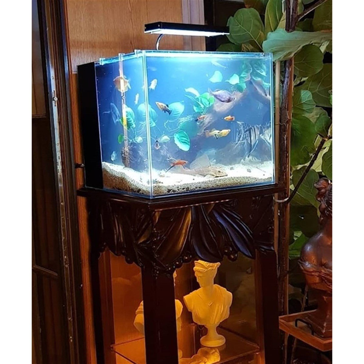 Beyoğlu Galata Kulesi Low Tech AkvaryumTasarım12