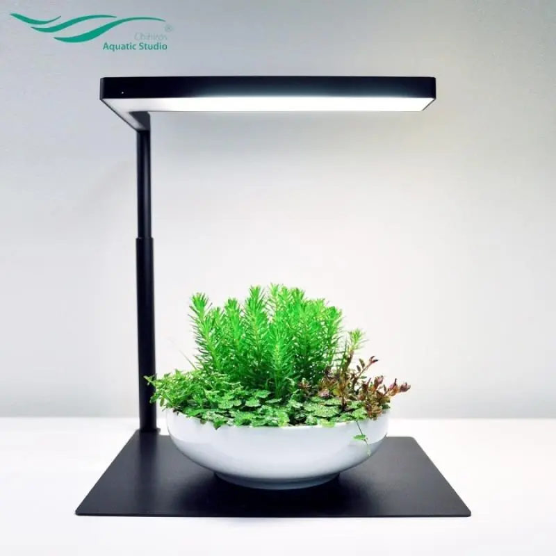 CHİHİROS CII RGB (CII RGB STAND)