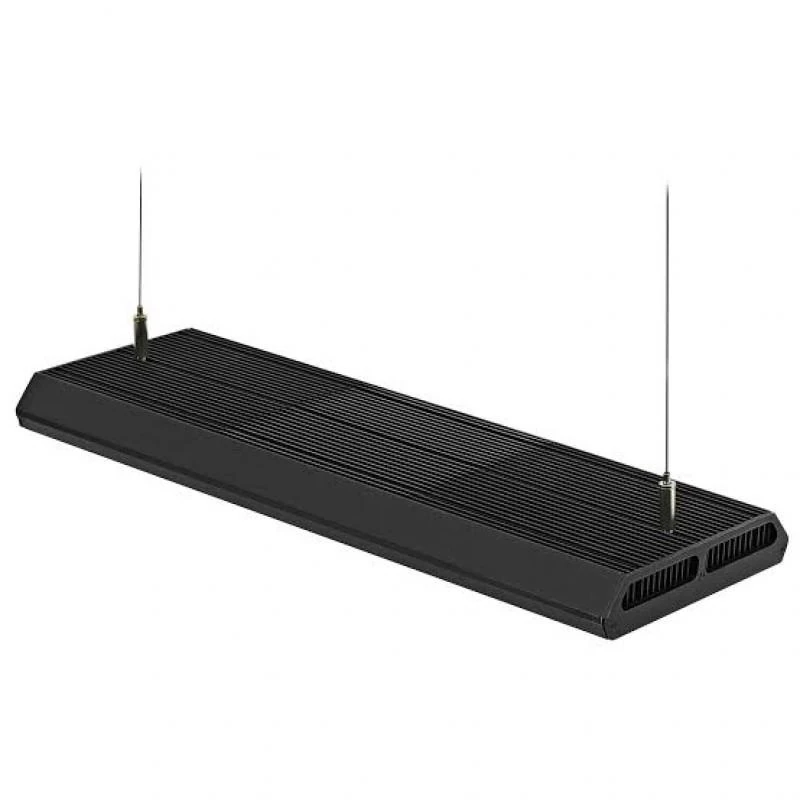 CHIHIROS VIVID2 MATE BLACK5994460025640