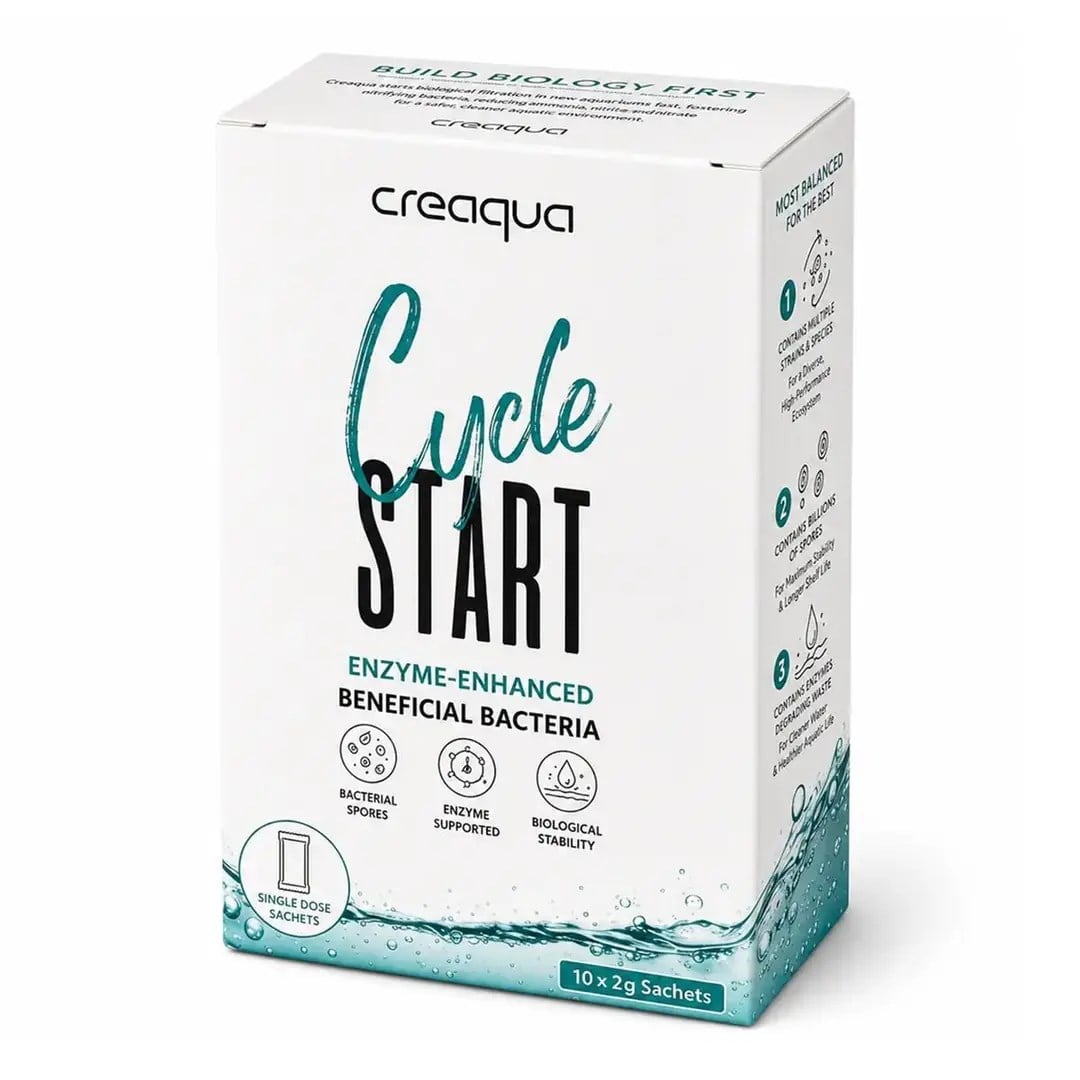 Creaqua Cycle Start Toz Bakteri Kültürü 2 gr - 10 Adet8685048741171