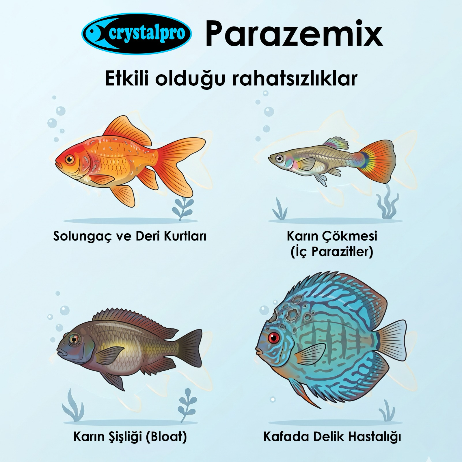 CRYSTALPRO PARAZEMİX 40 GR8681644073142