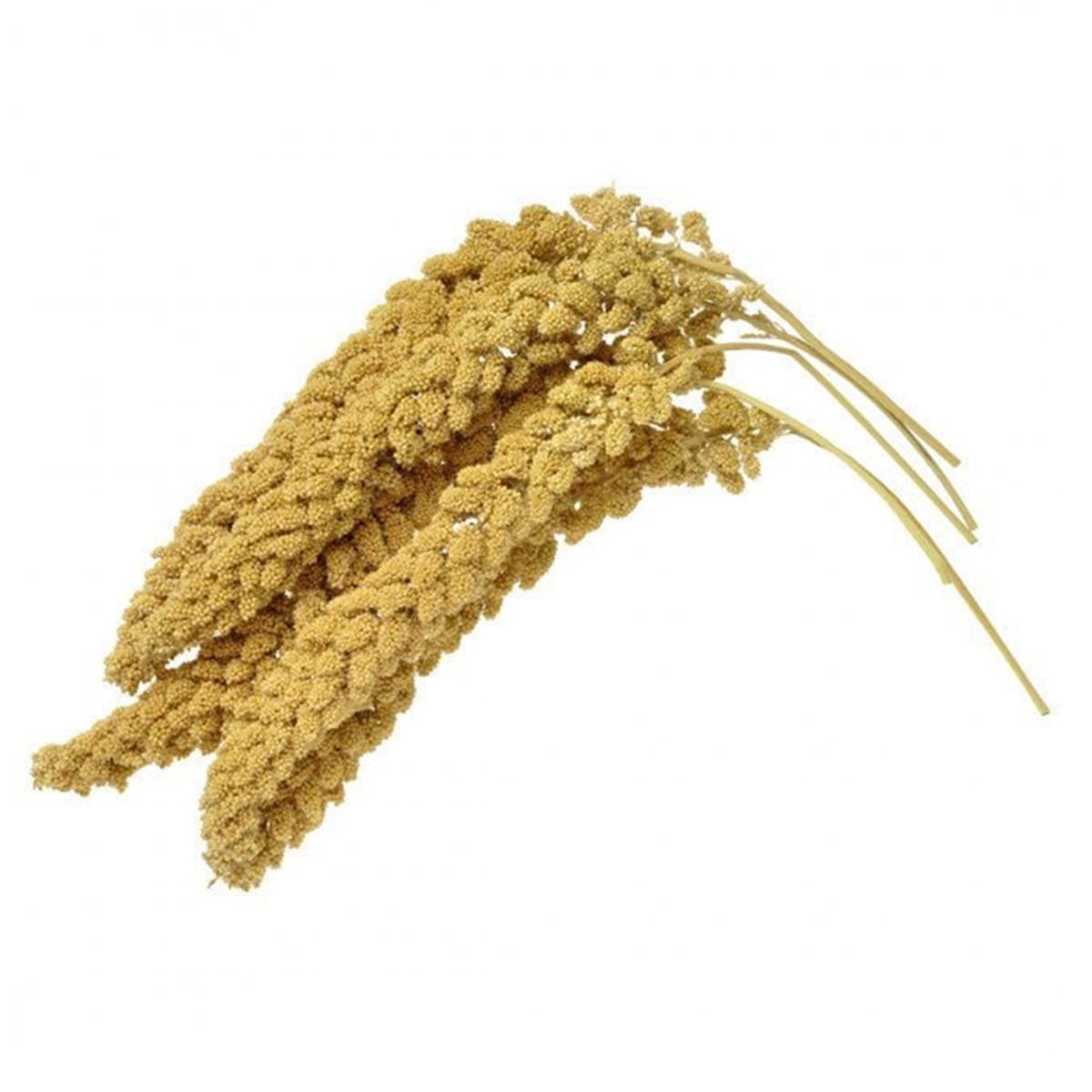 DAL DARI 1 KG150000179281