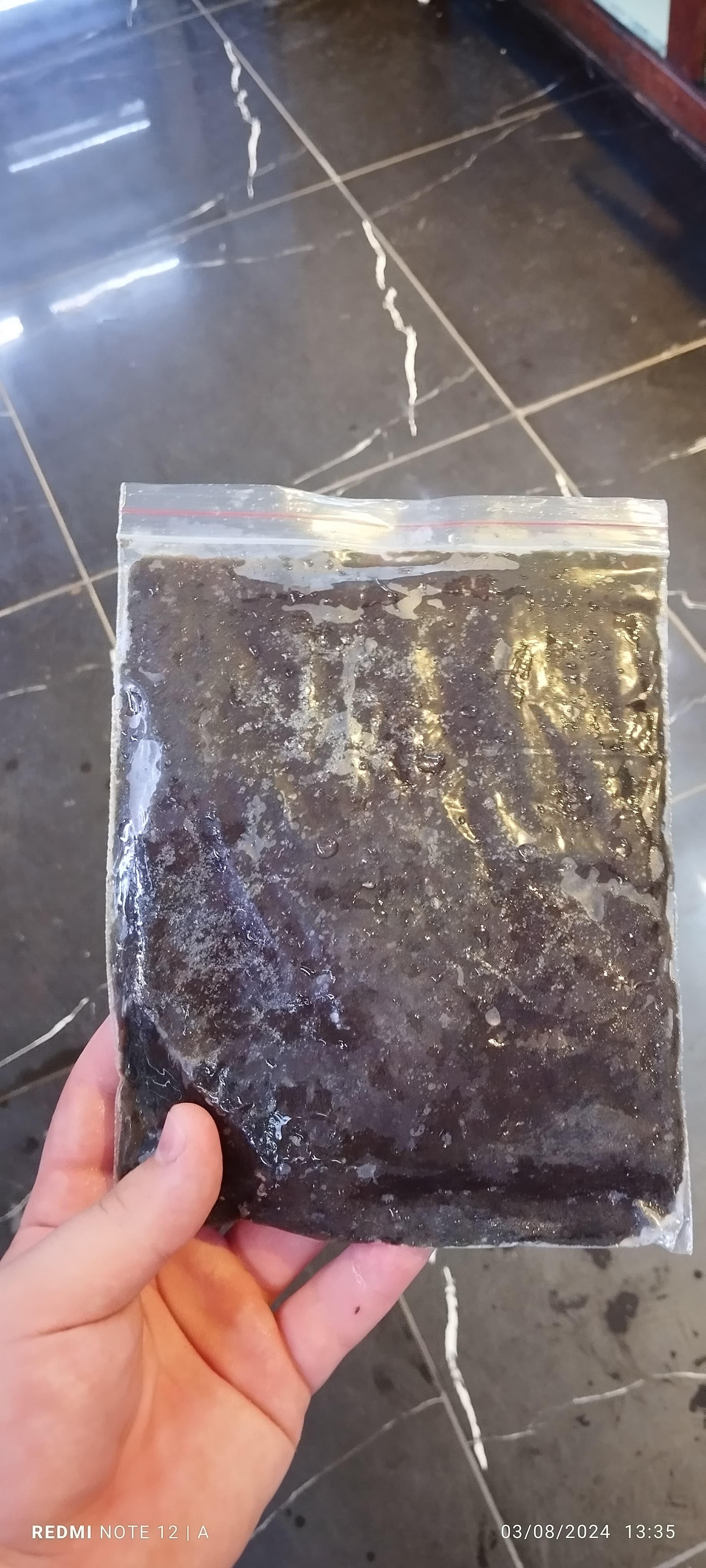 DANA YÜREĞİ 100 GR SPİRULUNADNYRKM