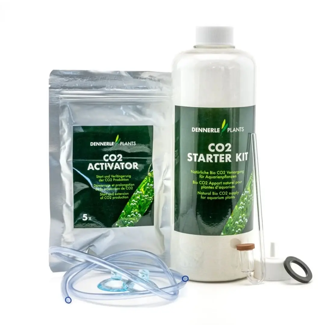 DENNERLE PLANTS CO2 STARTER KİT4260614767751