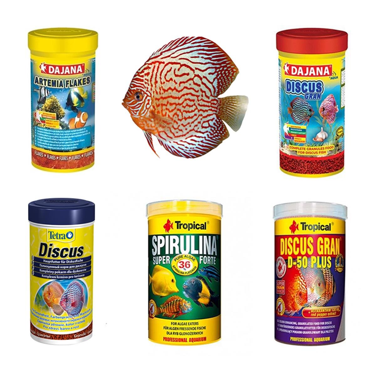 Discus Balıklarına Özel Yem Paketi(AÇIK YEM)Discuspaket