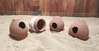 Doğal Dekor Yavruluk