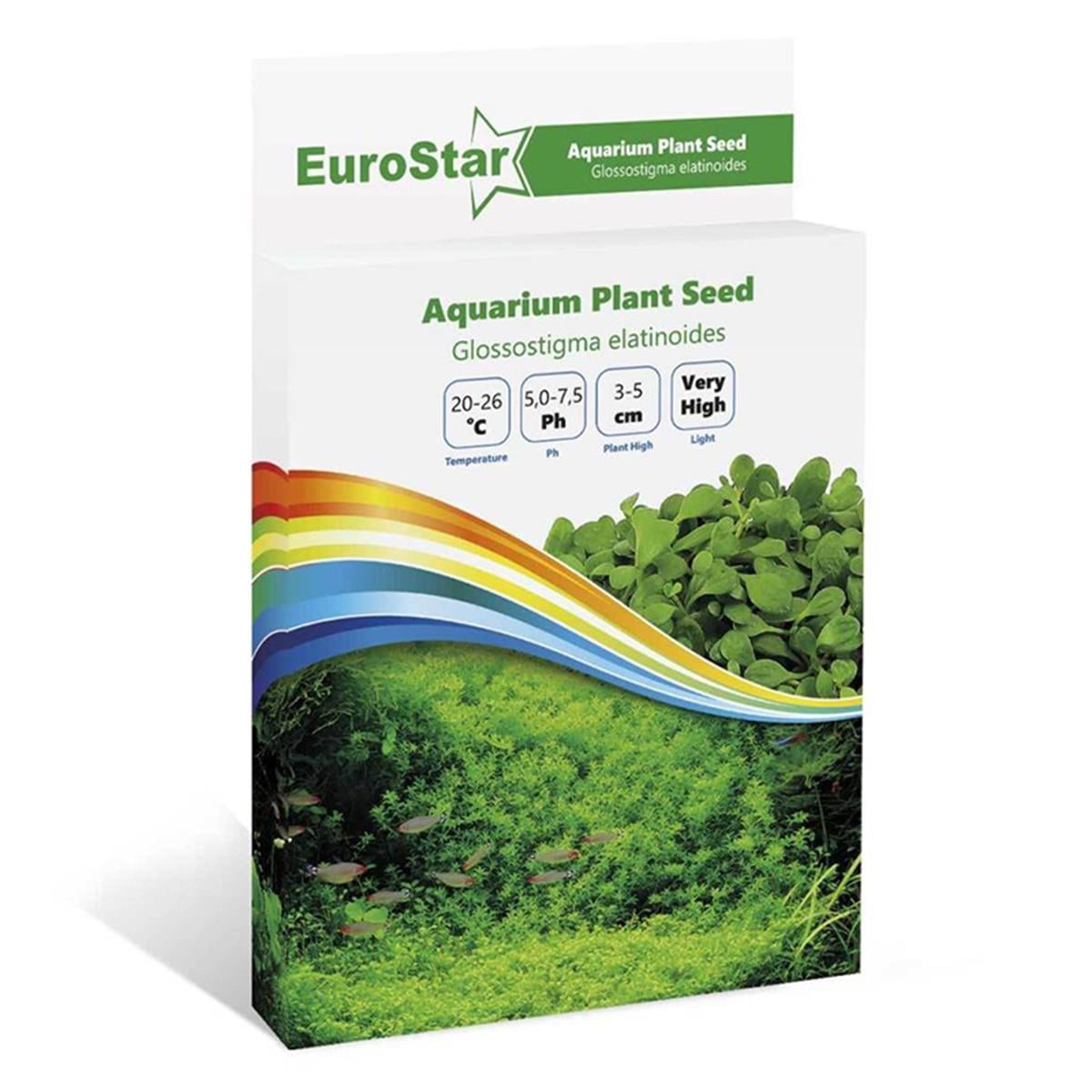 EUROSTAR BİTKİ TOHUM GLOSSOSTİGMA ELATİNOİDES (10)8681144115014