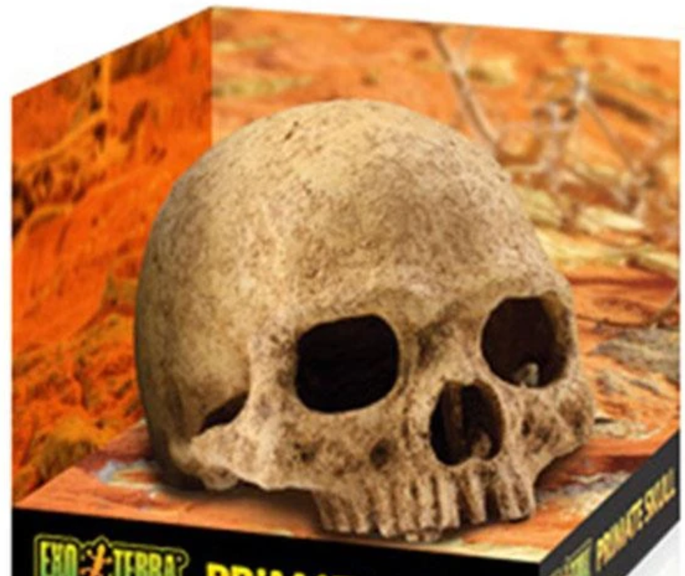 EXO TERRA KAFA TASI ŞEKİLLİ SÜRÜNGEN YUVASI015561228558