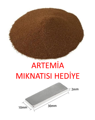 INVE SEP-ART ARTEMİA %95 AÇILIMLI 25 GR MIKNATIS HEDİYELİSEP25
