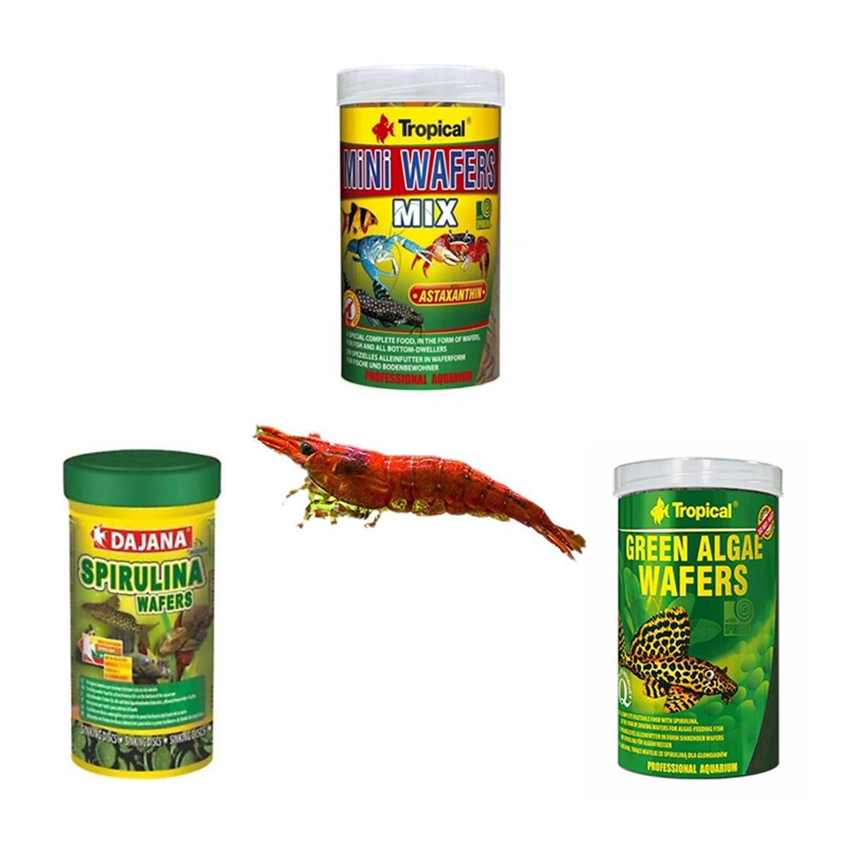 Karideslere Özel Yem Paketi (AÇIK YEM)Karidespaket