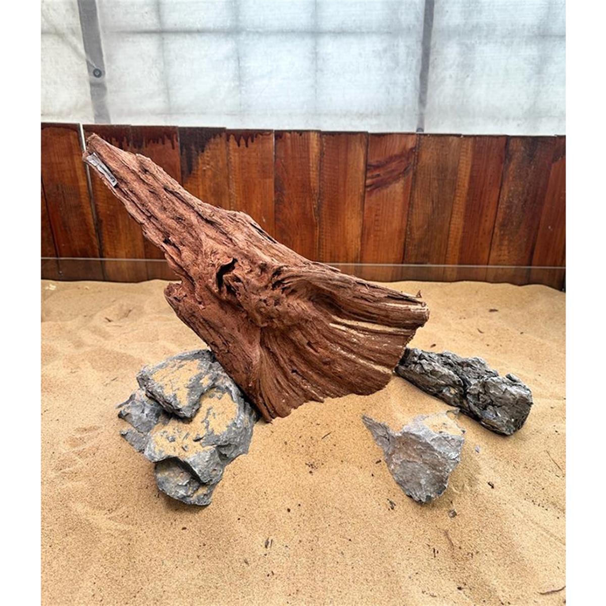 Mangrove Kökü XL BoyMangoXL