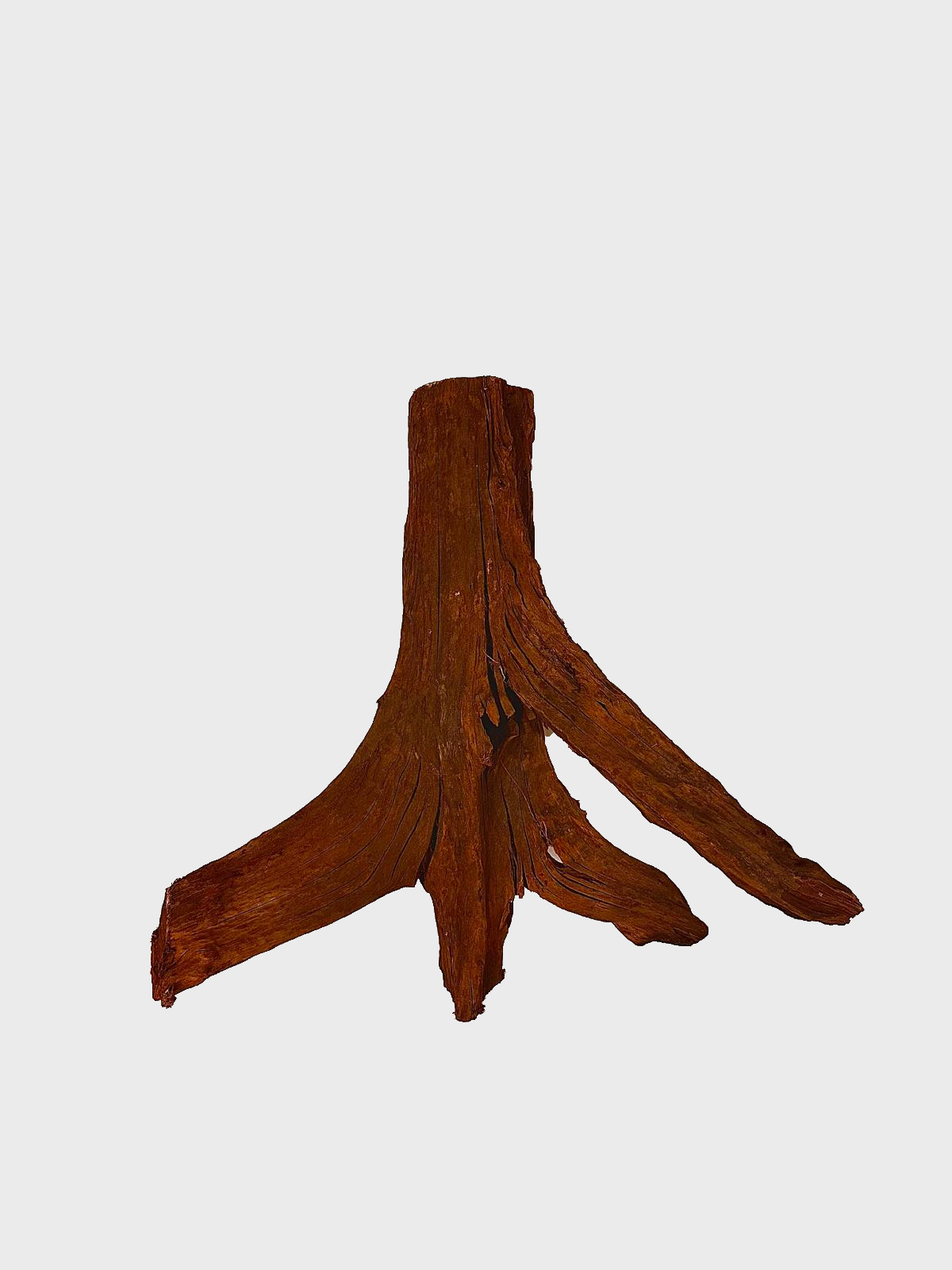 MANGROVE XXXL-11000000547108