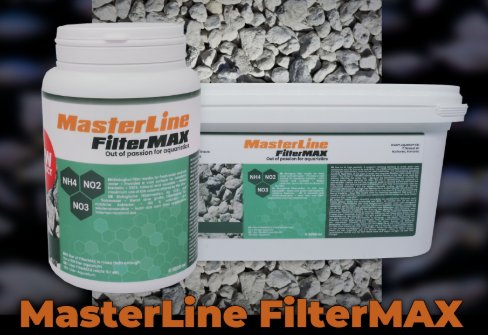 Masterline Filtermax 1litre (AÇIK kovadan Bölme)26729