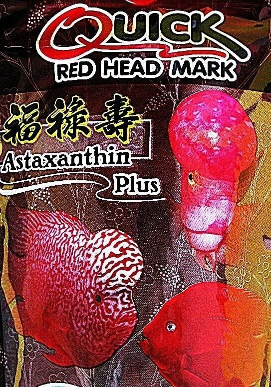 OKİKO FLOWERHORN QUİCK RED YEM 100 GR8857110850788