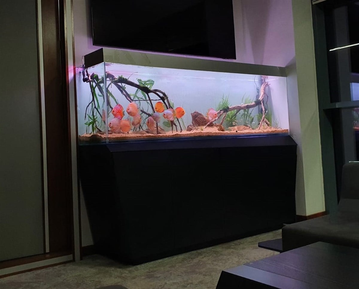 Özel Ölçü Batışehir Ofis- 150x40x50h150x40x50