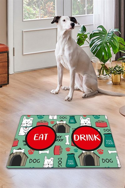 PVC HUT BOWL KEDİ KÖPEK MAMA PASPASI