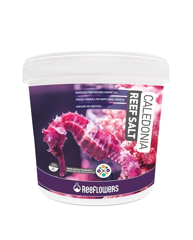 REEFLOWERS CALEDONİA REEF SALT 6,5 KG8680716331937