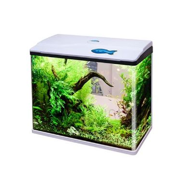 SOBO KOMPLE AKVARYUM 60X30X51 CM BEYAZ 750F6925394870326