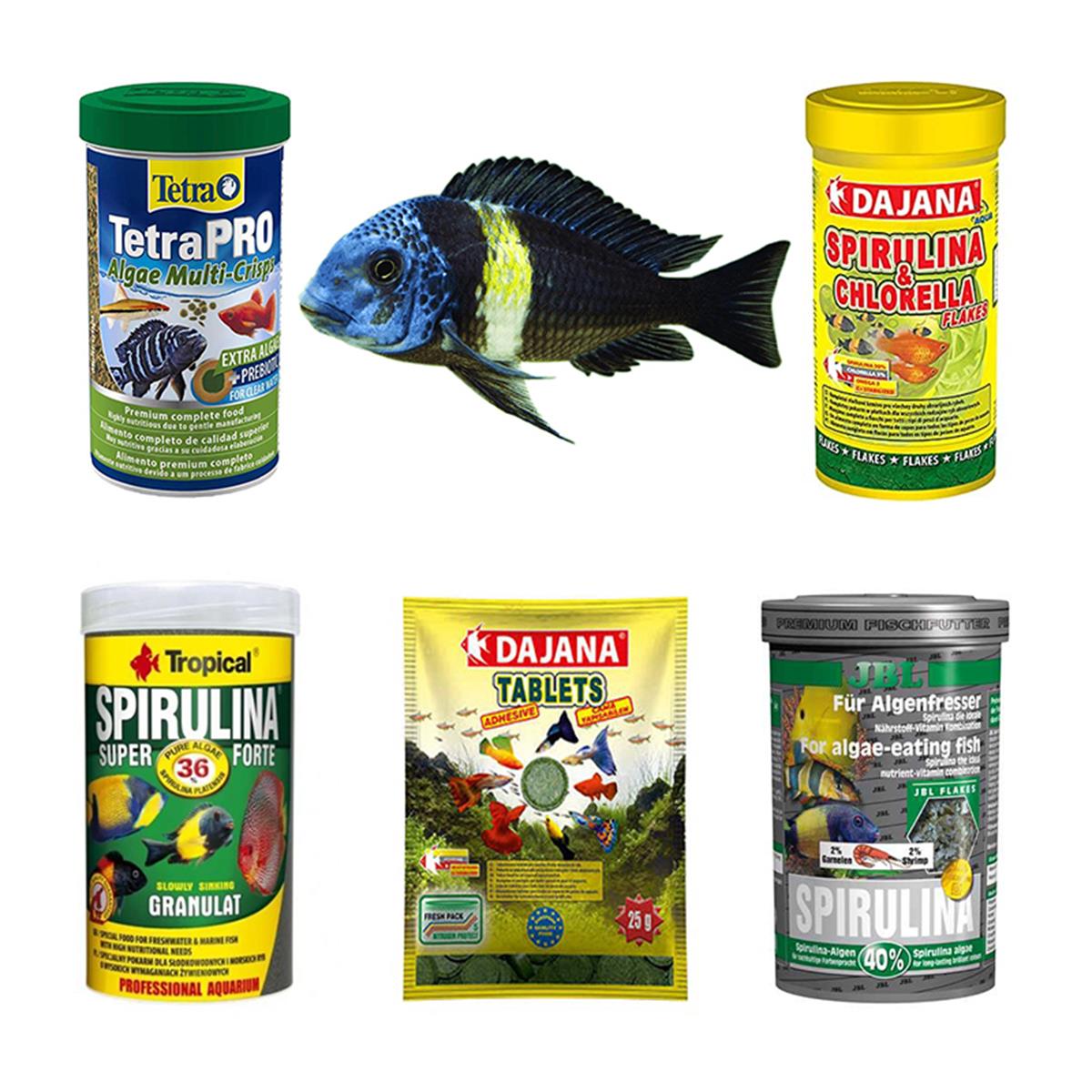 Tropheus Ciklet Balıklarına Özel Yem Paketi (AÇIK YEM)Tropheuscikletpaket