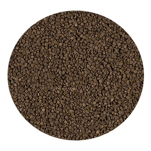 TROPICAL CARNIVORE 100 GR60738