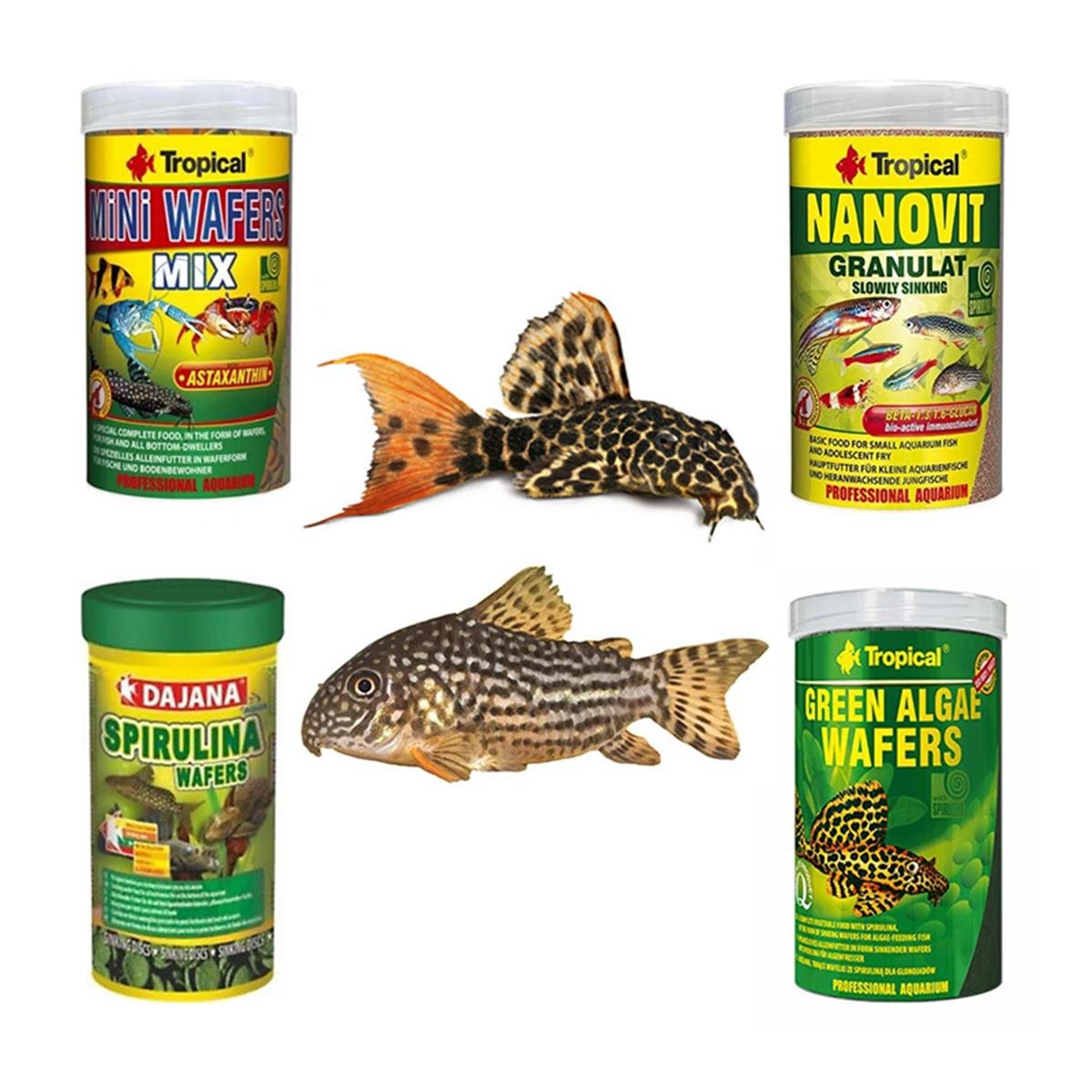 Vatoz/Çöpçü Balıklarına Özel Yem Paketi (AÇIK YEM)Vatoz/çöpçüpaket