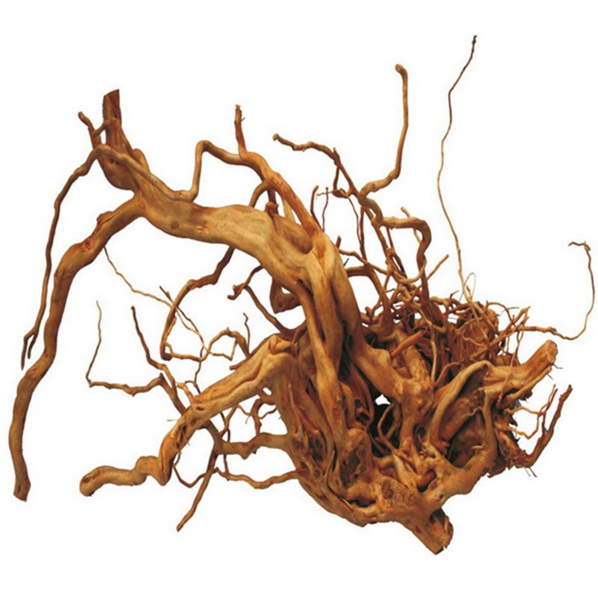 YATI KÖKÜ 1 KG1990000907609