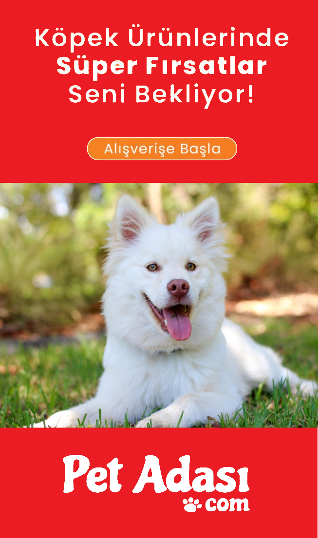 Köpek/menuicon2.svg#menuicon2h.svg