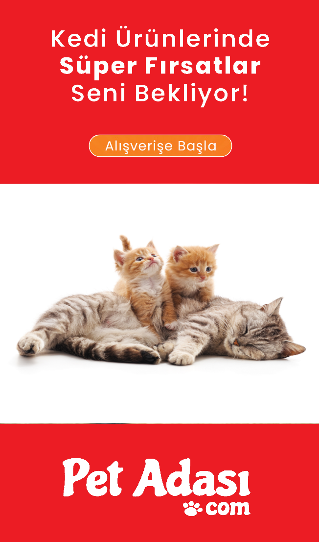 Kedi/menuicon.svg#menuiconh.svg