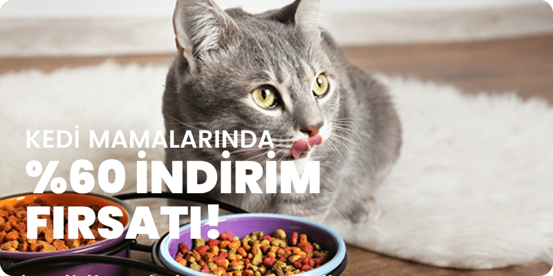 Kedi Mamaları