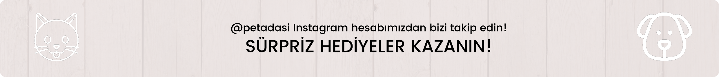 Pet Adası Instagram