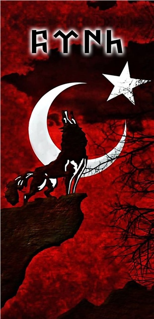 Buff Bandana Modeli 46