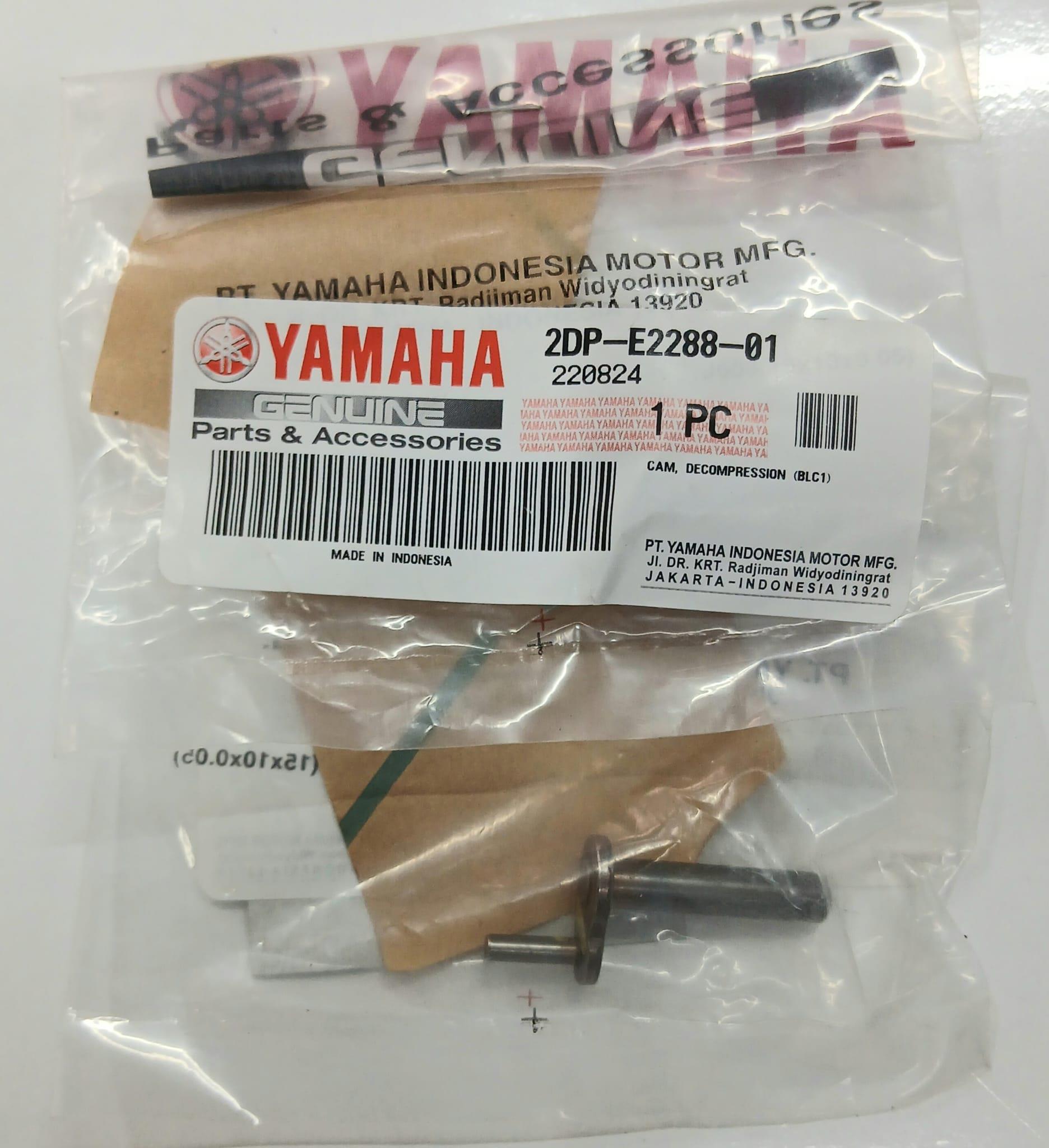 KAM EKSANTRİK MİL PİMİ