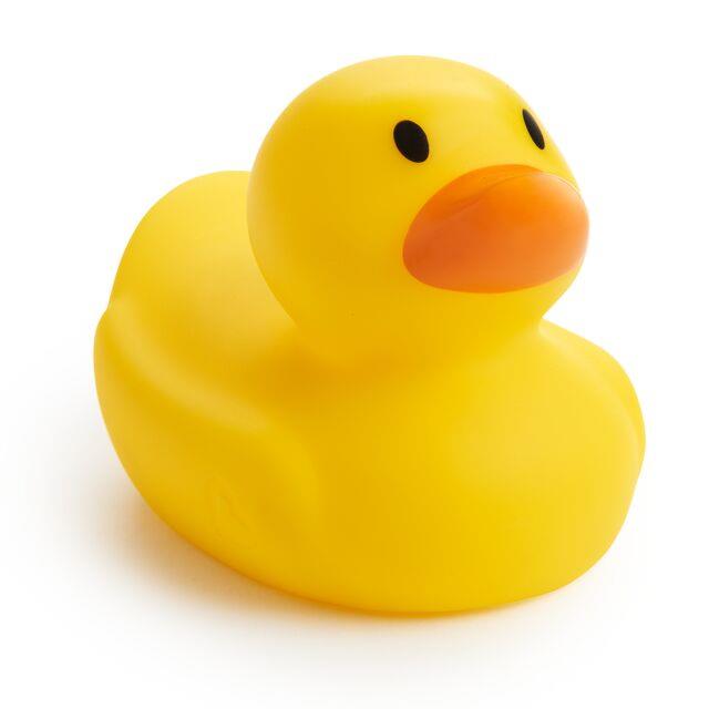 Bebek Banyo Termometresi