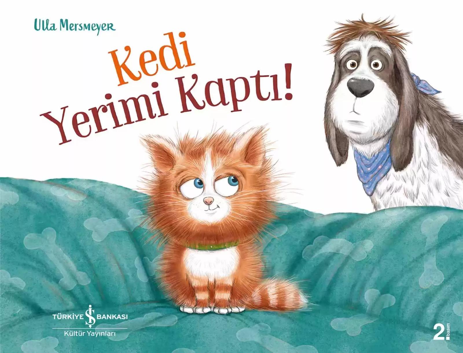 KEDİ YERİMİ KAPTI