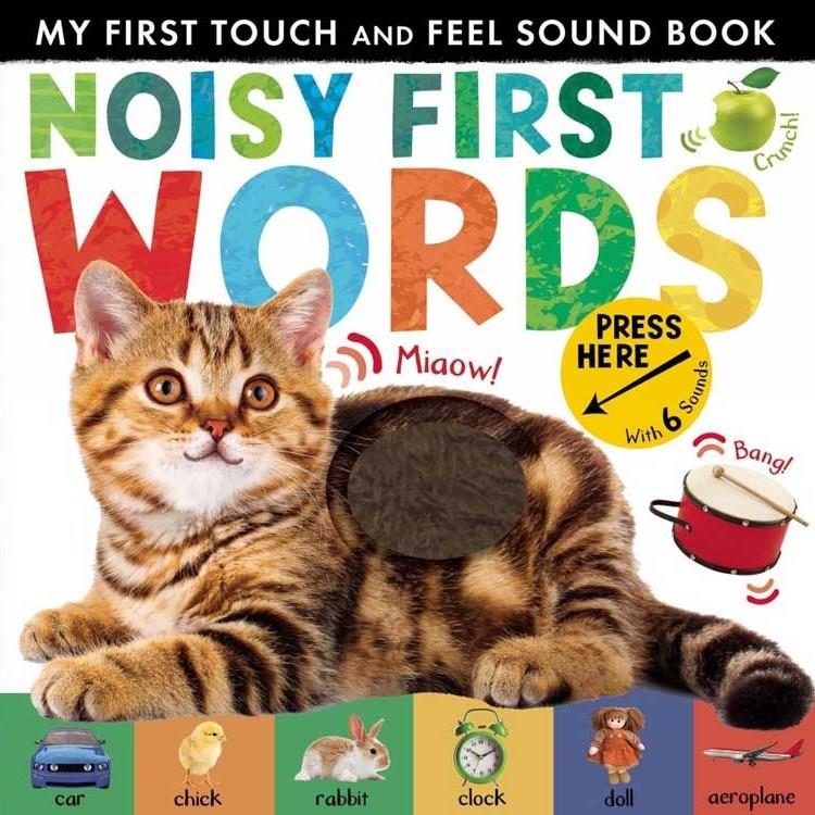My First Touch and Feel Sound Book: Noisy First Word (New Edition)
