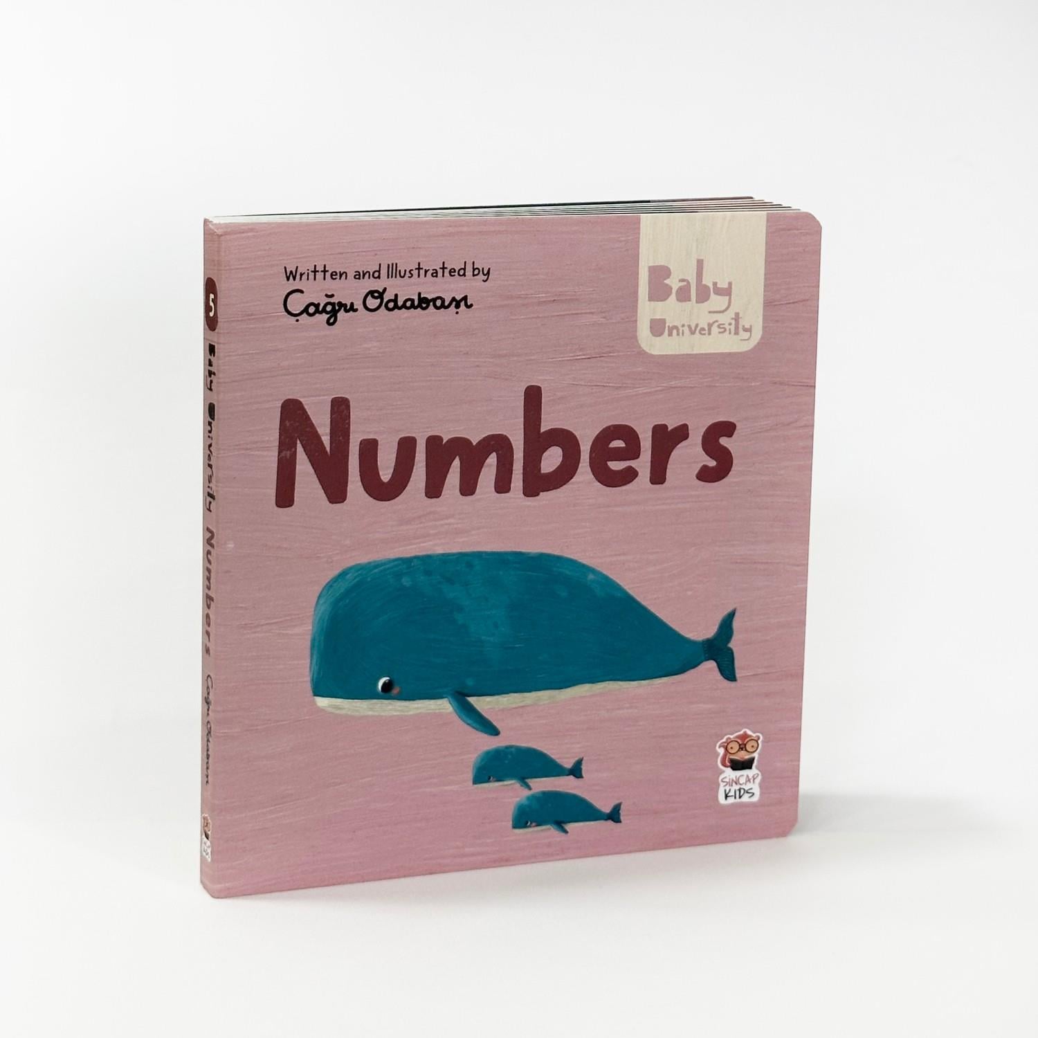 Numbers - Baby University First Concepts Stories 2