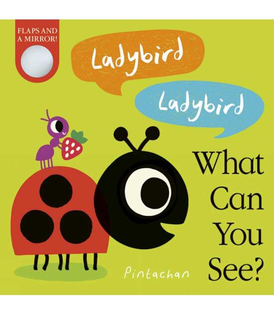 What Can You See?: Ladybird! Ladybird!