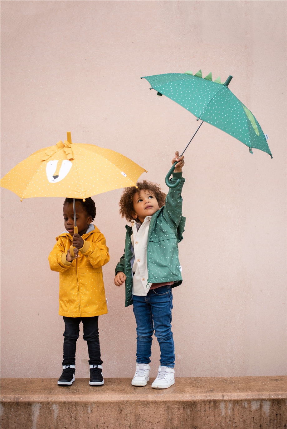 38-213 | Umbrella - Mr. Lion