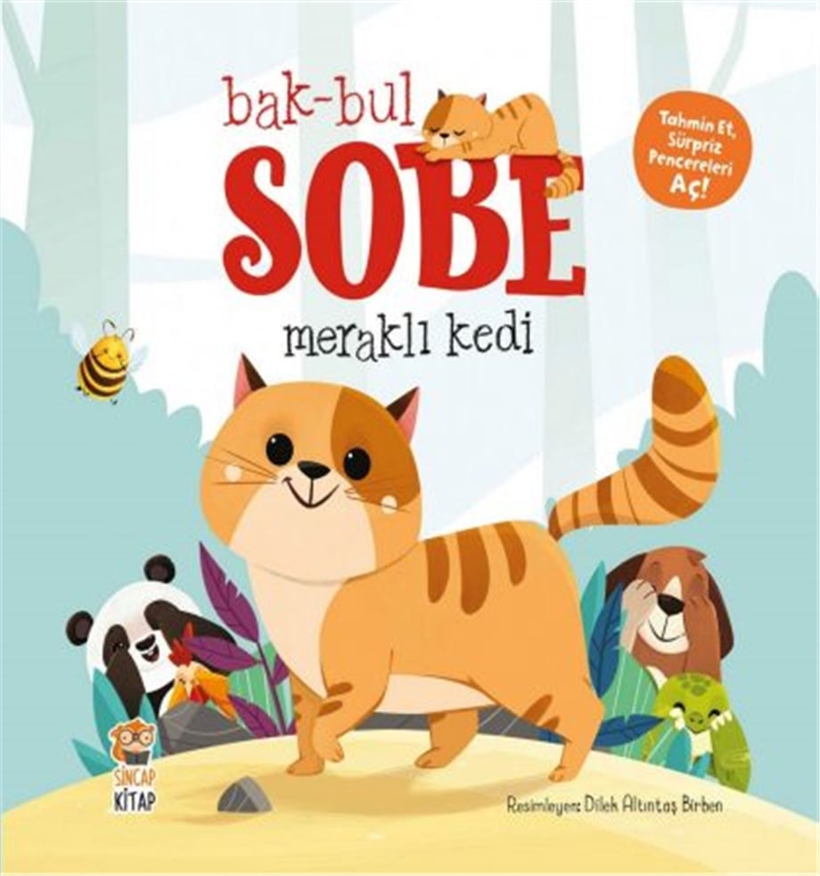 Bak Bul Sobe Meraklı Kedi