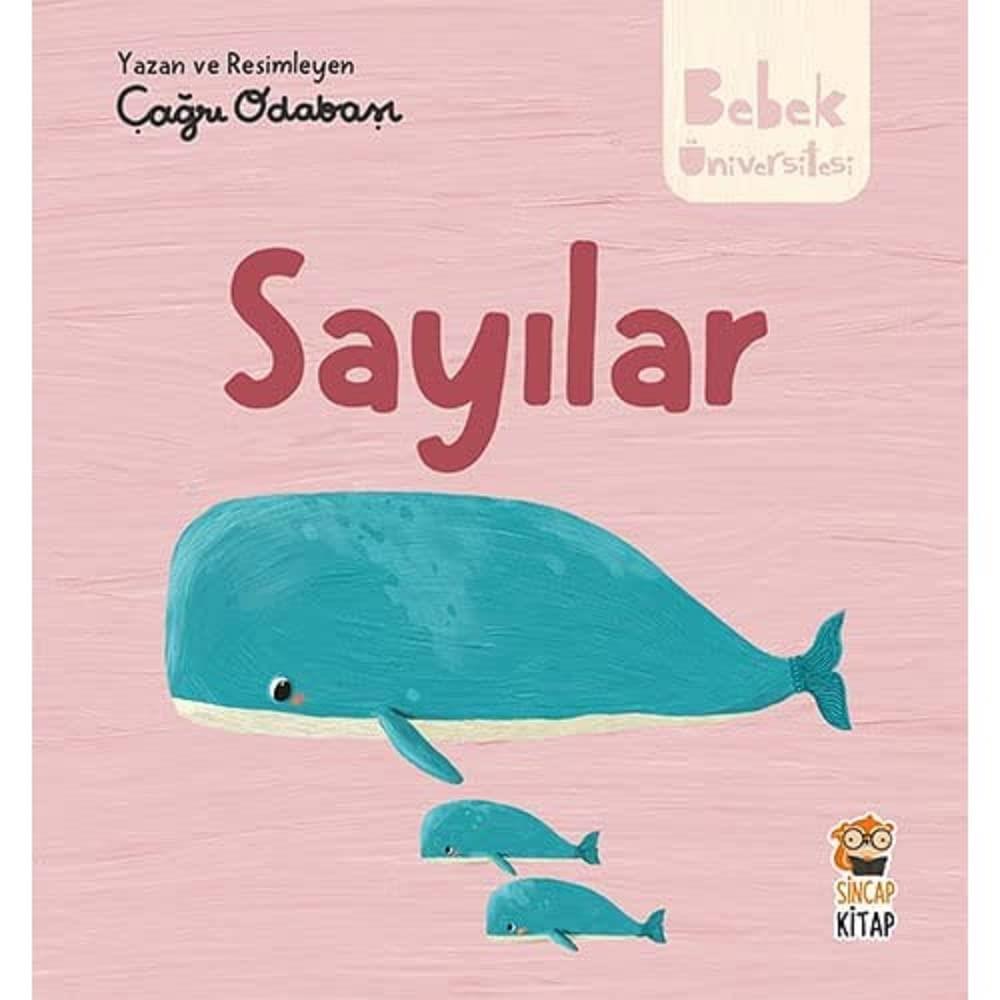 Bebek Üniversitesi 2 -Sayılar