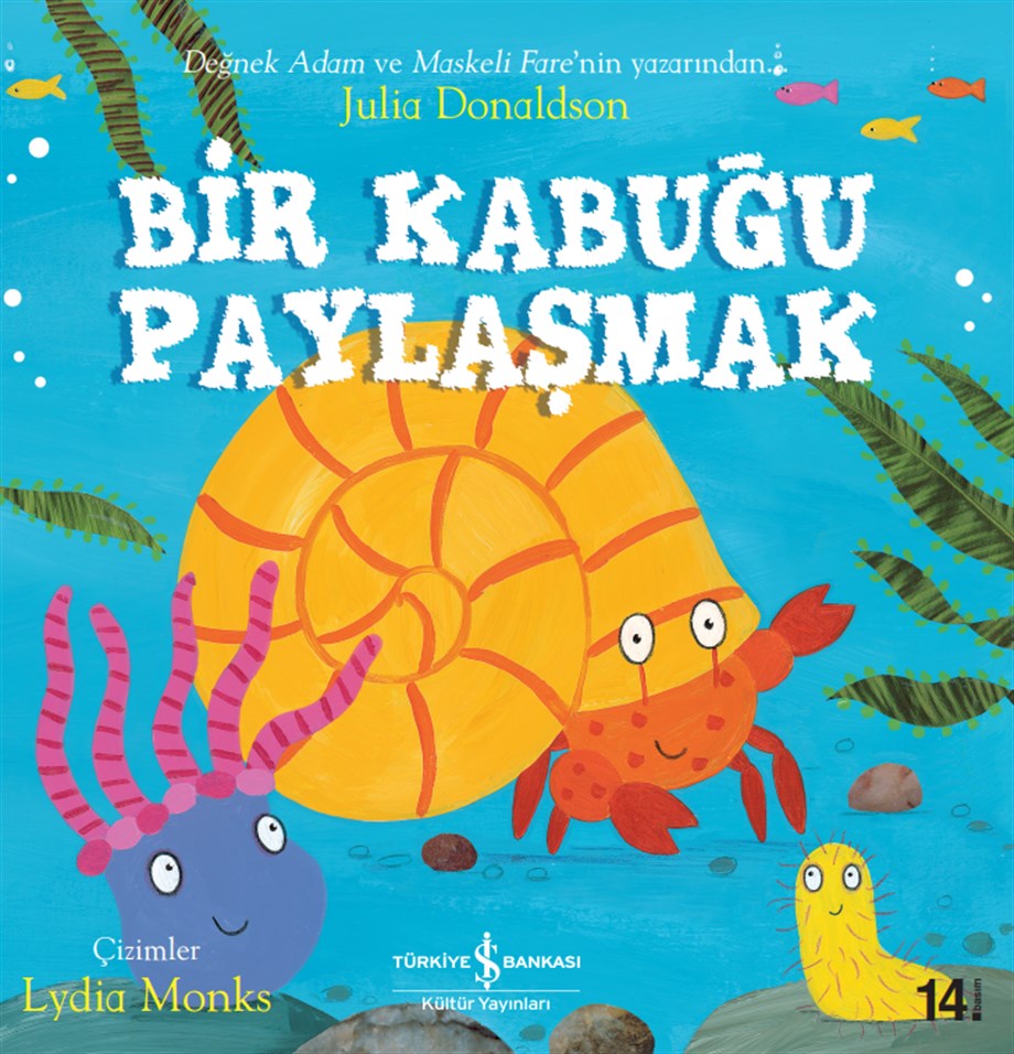 BİR KABUĞU PAYLAŞMAK