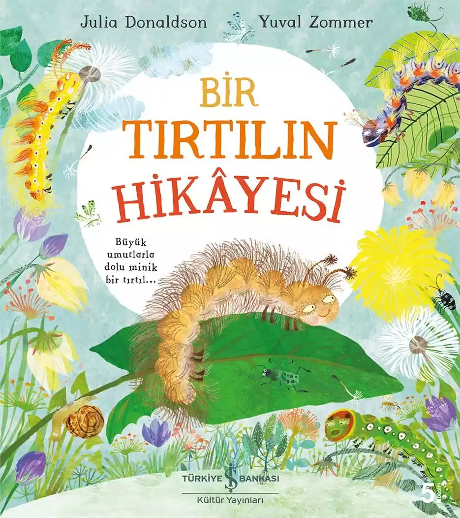 BİR TIRTILIN HİKAYESİ