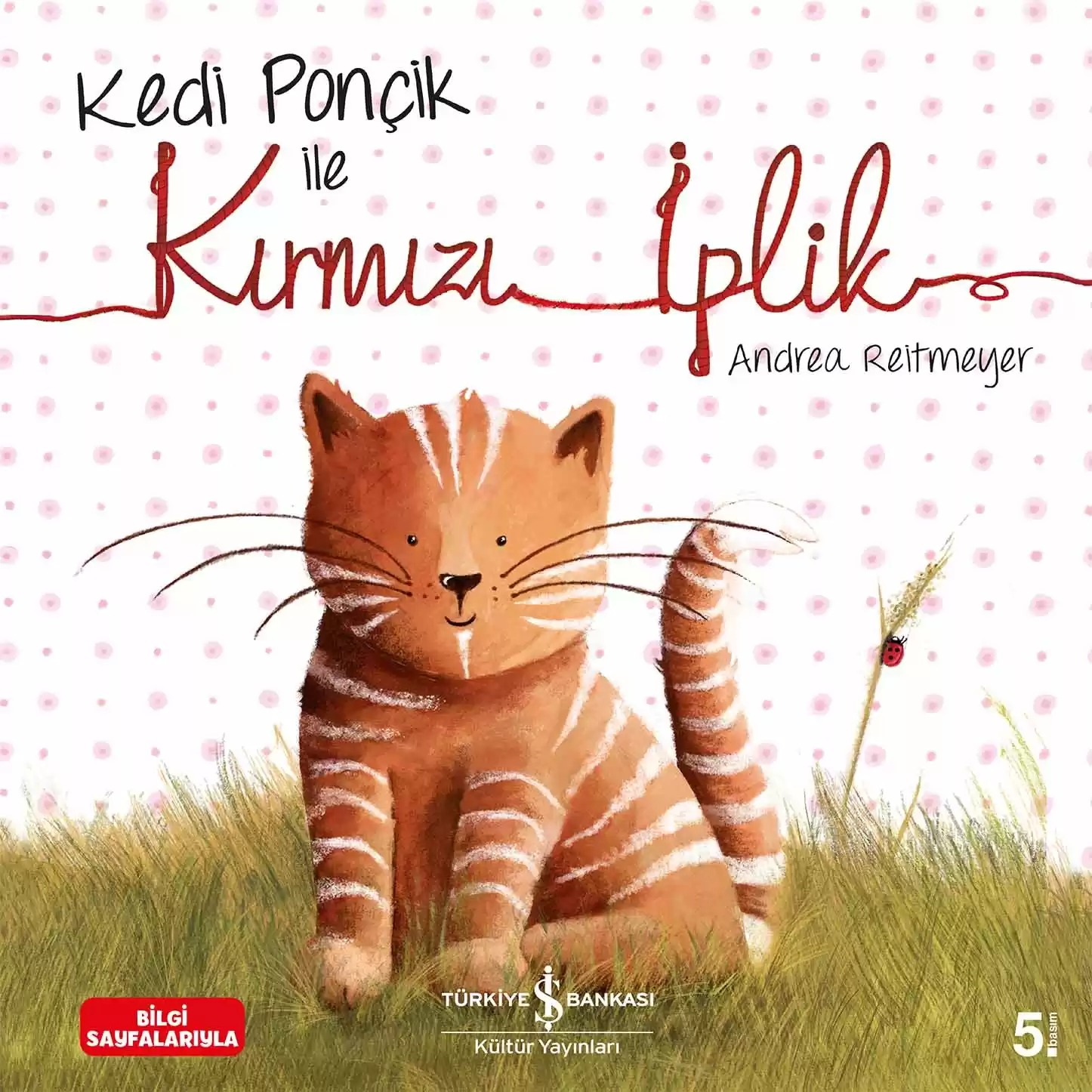 KEDİ PONÇİK İLE KIRMIZI İPLİK