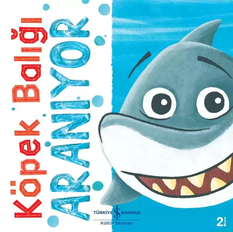 KÖPEK BALIĞI ARANIYOR