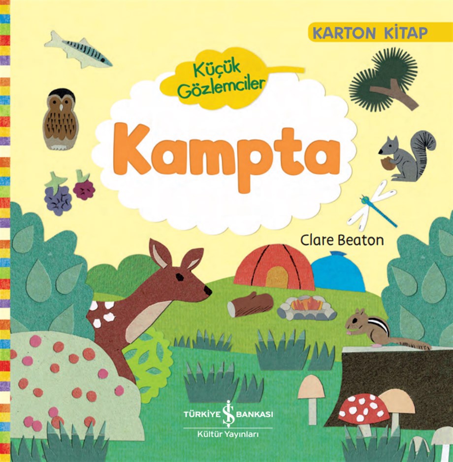 KÜÇÜK GÖZLEMCİLER - KAMPTA