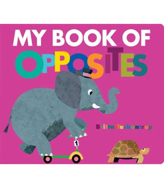My Book of Opposites
