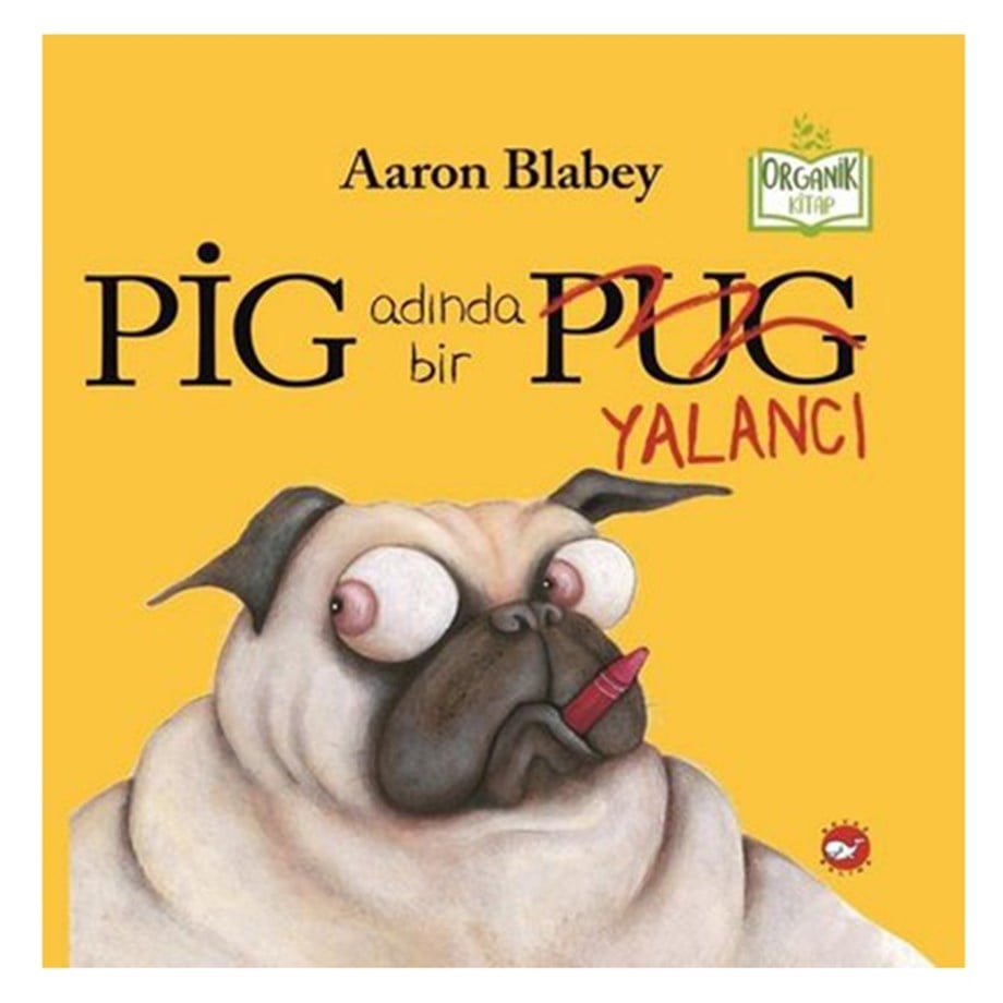 PIG ADINDA BİR YALANCI